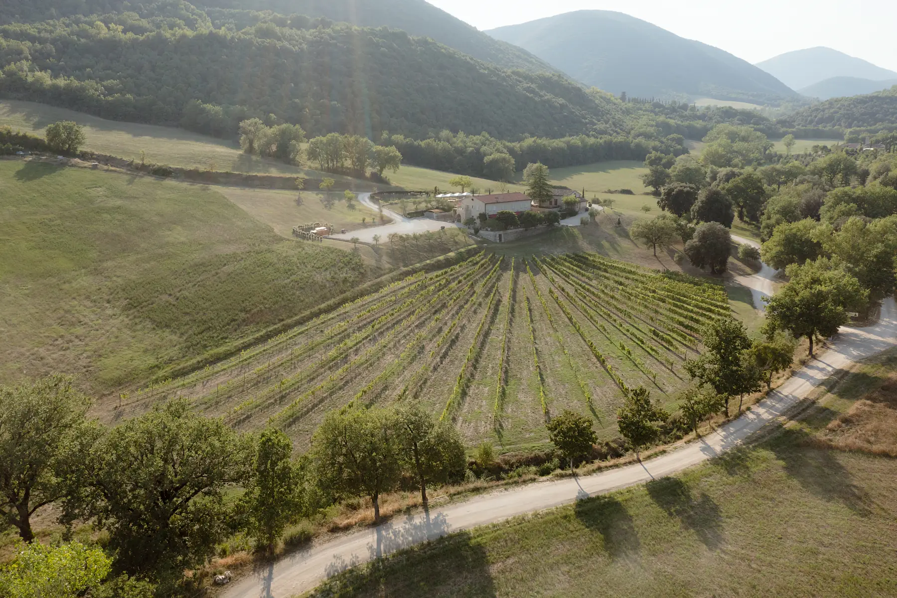 Organic Wine Umbria