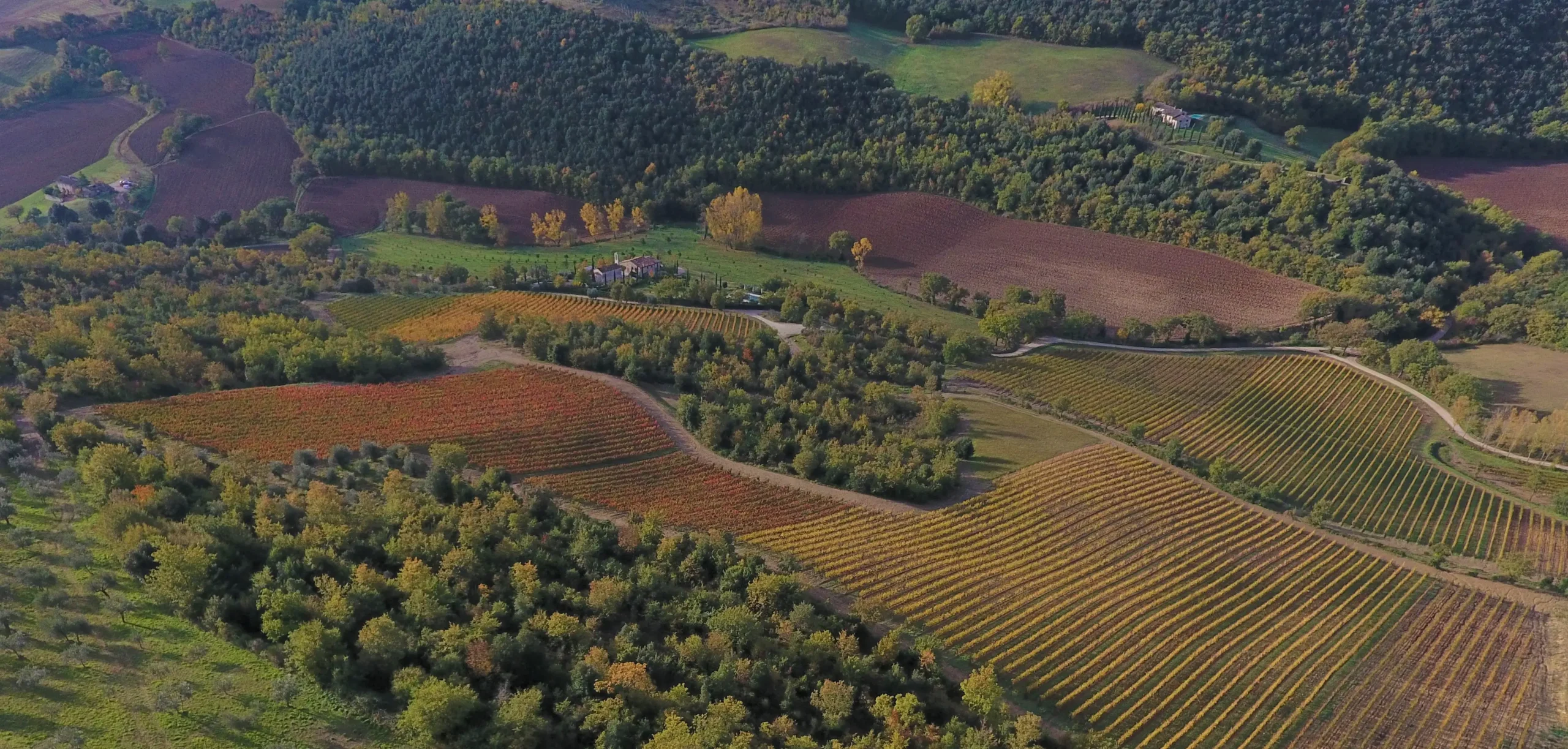 Organic Wine Umbria